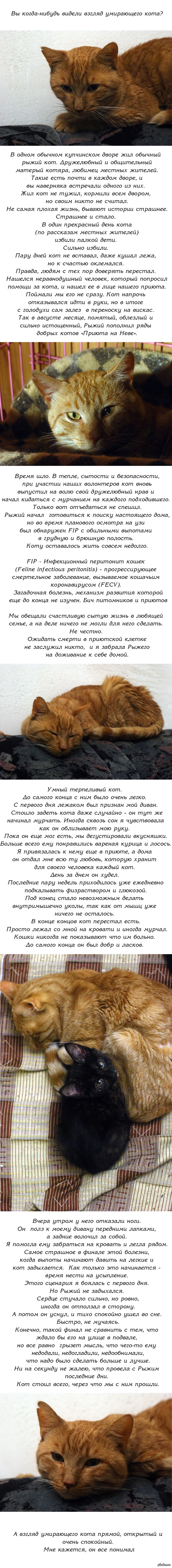 Как зайти на кракен через тор браузер