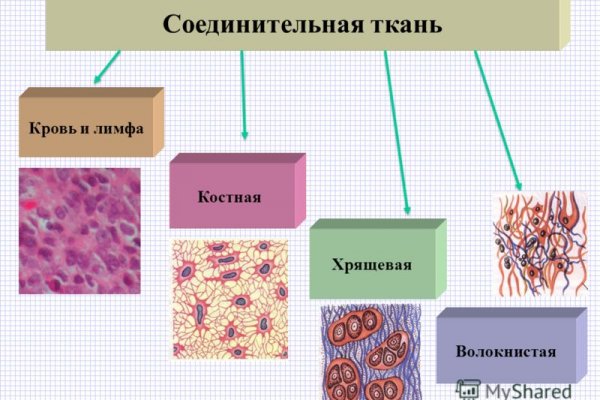 Kraken как найти ссылку