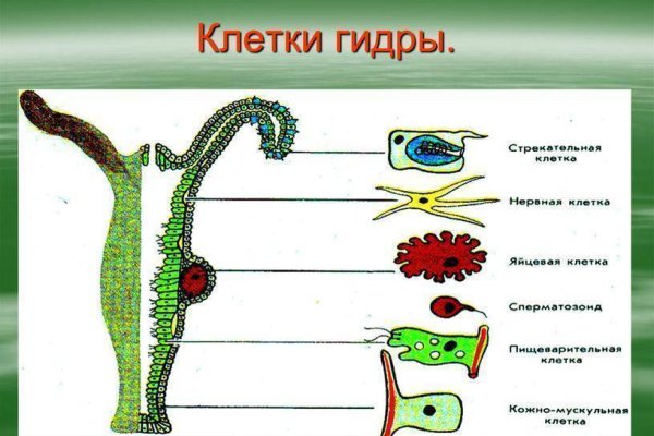 Кракен 15 ссылка