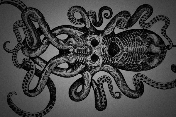 Ссылка на kraken торговая площадка