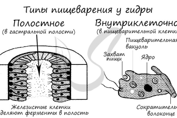 Кракен даркнет зайти