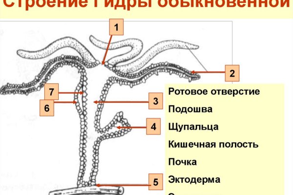 Ссылки сайтов даркнета