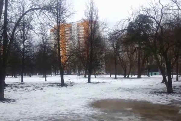Оригинальная ссылка кракен браузера