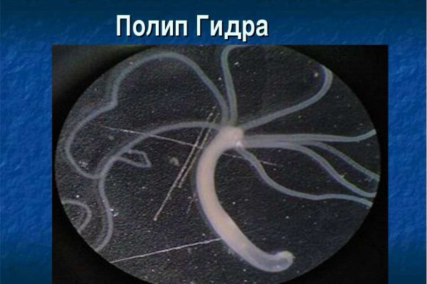 Рабочий сайт kraken