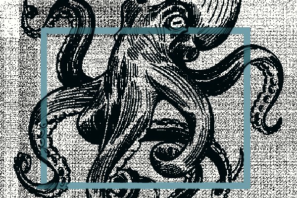 Kraken магазин