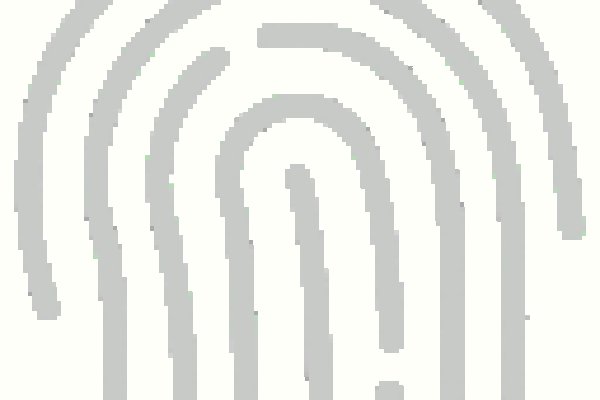 Darknet как войти