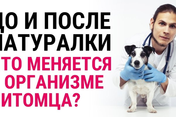 Ссылка на сайт гидра в тор браузере