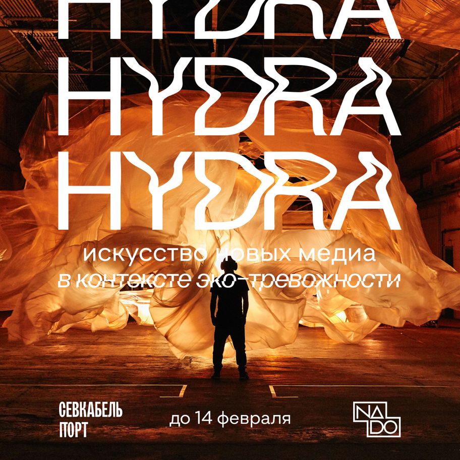 Что за приложение кракен