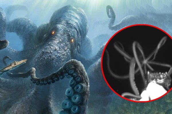 Kraken даркнет рынок ссылка